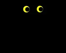 ir a juego nocturnos