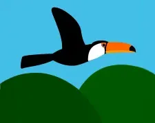 ir a juego pájaros