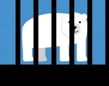 ir a juego liberados