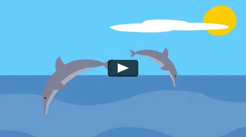 Ir al video delfines