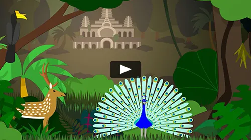 Ir al video Animales de la selva de la India