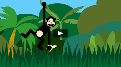Ir al videos monos